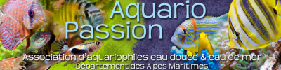 AquarioPassion